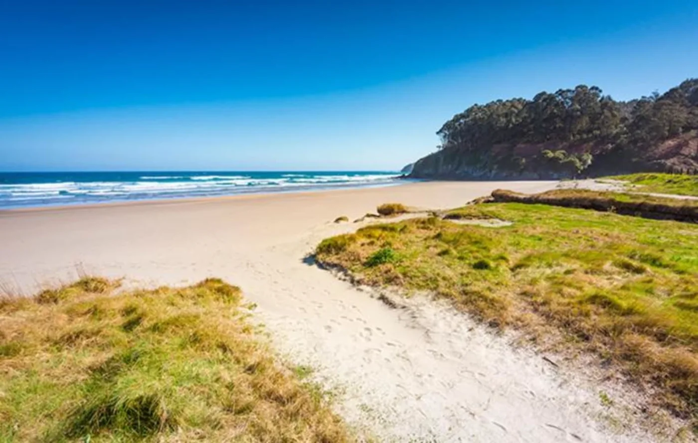 Camino entre dunas hacia la playa